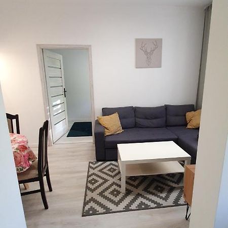 Apartament Na Kochanowskiego Stary Toruń Exteriör bild