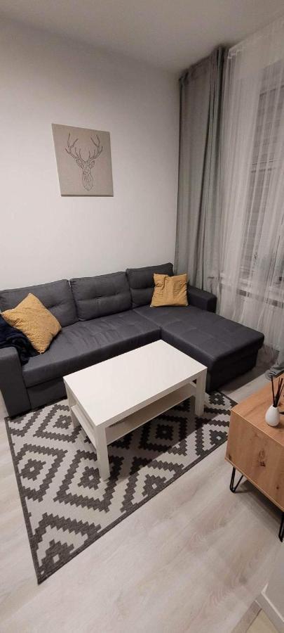 Apartament Na Kochanowskiego Stary Toruń Exteriör bild